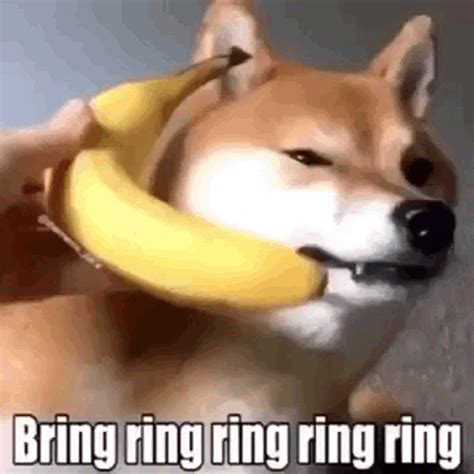 Banana Dog GIF - Banana Dog - Discover & Share GIFs