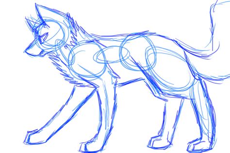 [Sketch] Wolf Body practice by Furea-Flight on DeviantArt