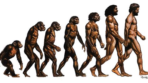EVOLUTION OF HUMANS