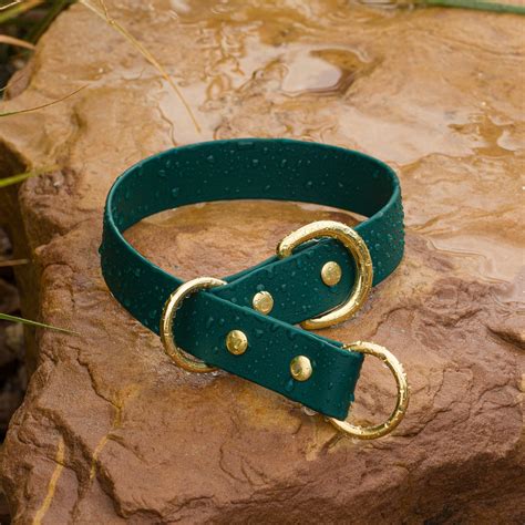 BioThane® Waterproof Slip Collar - Emerald – Vivid Canine