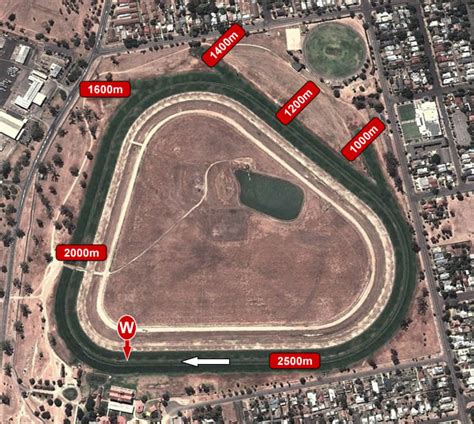 Wagga Wagga Racecourse - Form Guide, Track Map & Results