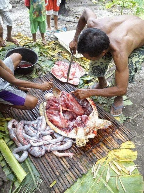 Penyu Hijau di Tanimbar Terancam Punah – Beritalingkungan.com