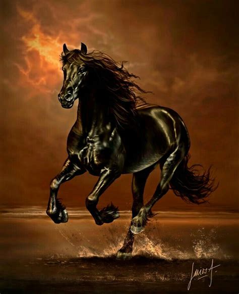 a black horse is galloping through the water with its front legs in the air