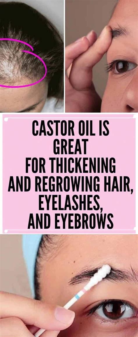 Castor Oil Is Great For Thickening And Regrowing Hair, Eyelashes, And Eyebrows – healthycatcher ...
