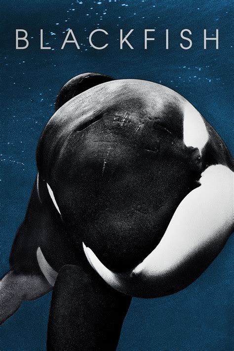 Blackfish (2013) | The Poster Database (TPDb)