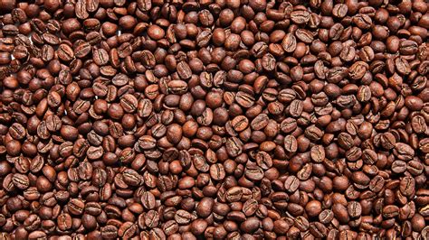 How to Buy the Best Coffee Beans | Bon Appétit