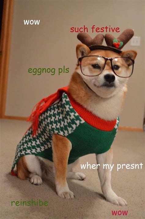 33 Xmas Dogs That Will Make Festivities Have a Greater Meaning ...