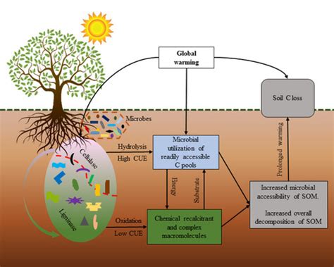 Global Change Biology | Environmental Change Journal | Wiley Online Library