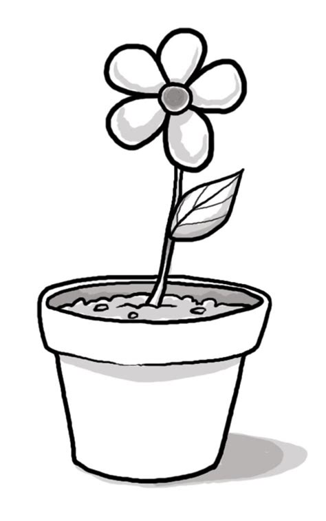 Flower Pot Clipart Black And White | Free download on ClipArtMag