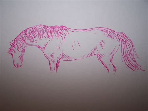 🔥 [40+] Pink Horse Wallpapers | WallpaperSafari