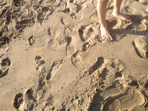 Free Images : beach, sand, rock, girl, footprint, feet, foot, soil, material, footprints, toes ...