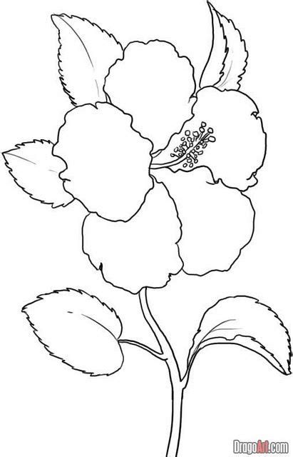 Bunga Coloring Pages Coloring Pages