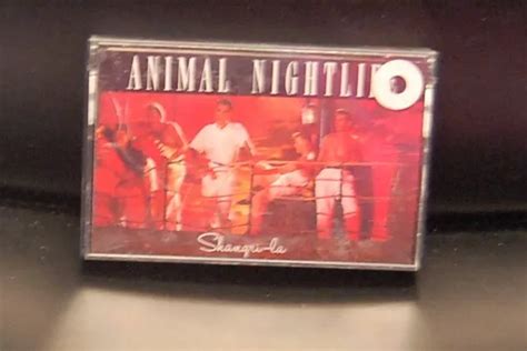 ANIMAL NIGHTLIFE - "Shangri-la" Cassette $4.95 - PicClick
