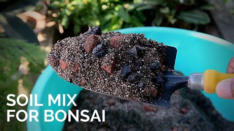 Soil mix for Bonsai || Easy soil preparation for Bonsai || Bonsai substrate mix - YouTube