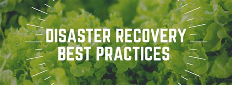 Disaster Recovery Best Practices - Affordable Bookkeeping & Payroll