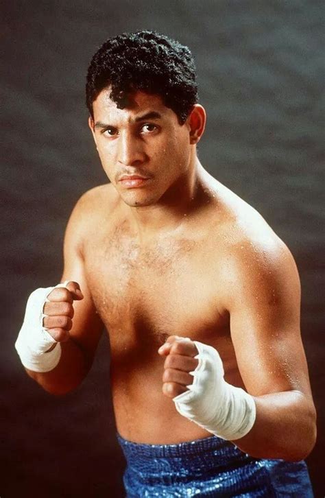 Héctor Camacho (50) | Hector, Float like a butterfly, Love box