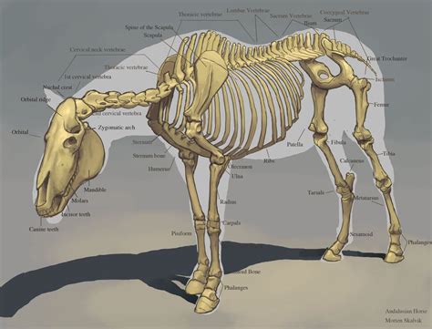 This impressive digital artwork depicts the skeletal structure of a ...