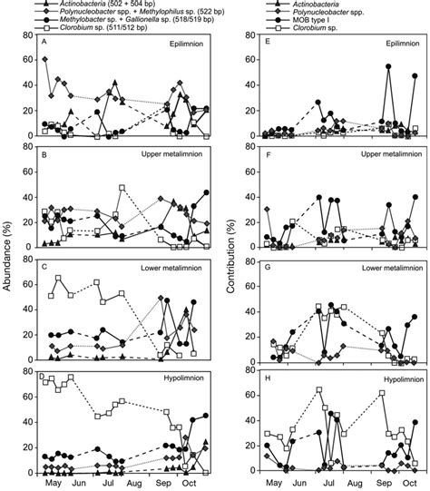 Relative abundance (%) of 16S rRNA gene sequences assigned to... | Download Scientific Diagram