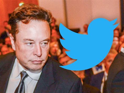 Elon Musk Offers to Step Down as Twitter CEO in New Poll - showbizztoday