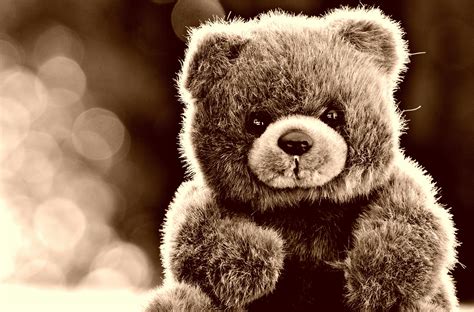 Teddy Bear Day Wallpaper Download : Teddy Bear, Toy, Glare Wallpaper ...