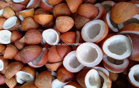 Dry coconut Copra -Dry Coconut Wholesale - Coconut Seller India