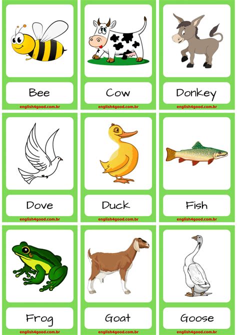 Farm Animals - English4Good - Vocabulary practice