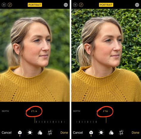 4 Easy Ways To Blur The Background In Your iPhone Photos