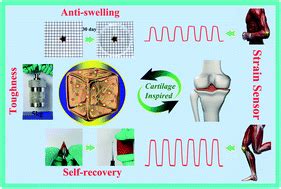 Cartilage-inspired hydrogel strain sensors with ultrahigh toughness, good self-recovery and ...