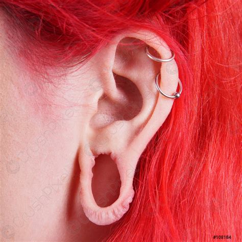 Stretched ear lobe piercing - stock photo 108184 | Crushpixel