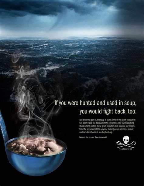 Sea Shepherd PSA Campaign :: Behance