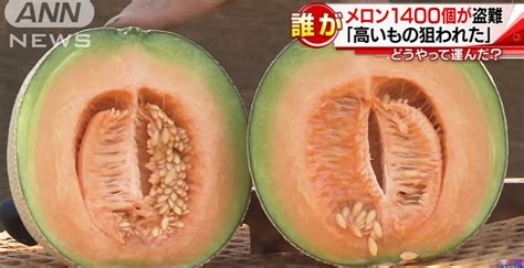 1,400 melons stolen from farm in Ibaraki - Portal Japan