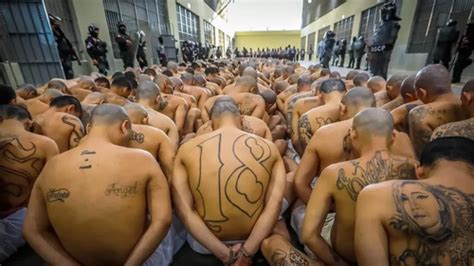 Watch: El Salvador Sends Thousands Of Tattooed Gang Members To Mega-Prison | ZeroHedge