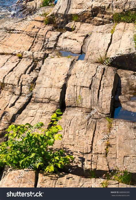 Canadian Shield Precambrian Rocks Stock Photo 688906309 | Shutterstock