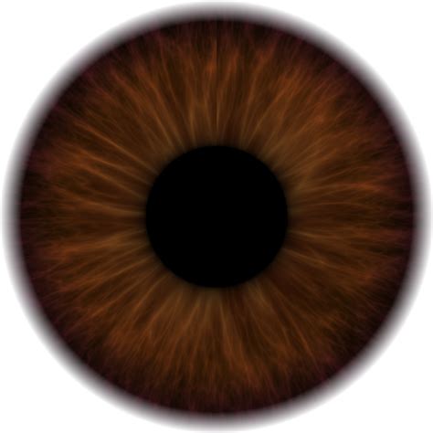 Dark Brown Eyes Png Image Background