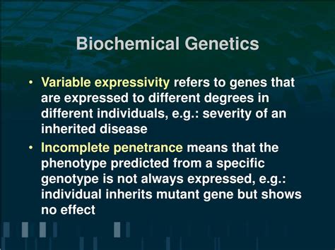 PPT - Transmission Genetics: Heritage from Mendel PowerPoint Presentation - ID:3478625