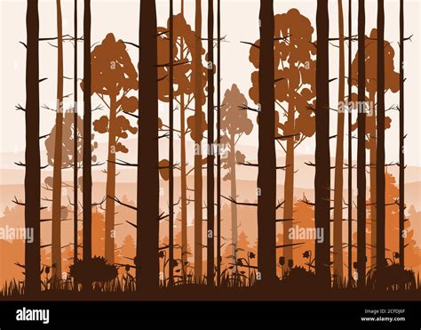 Sunny forest background. Vector illustration of woods in forest in ...