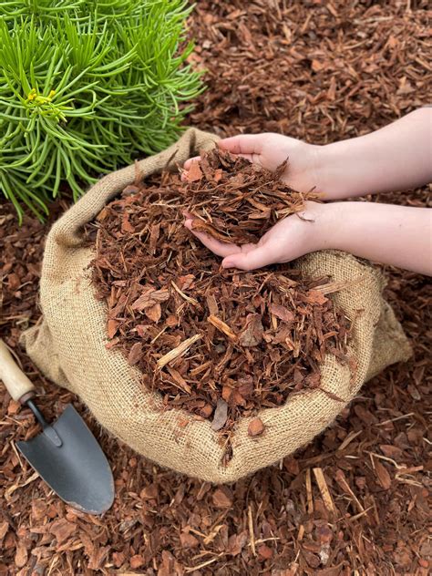 Pine Bark Mulch 30ltr Bag - Creation Landscape Supplies