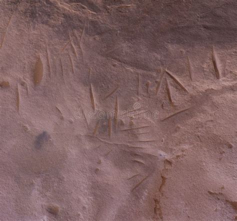 Ancient Rock Art in Sahara Desert Stock Photo - Image of petroglyph ...