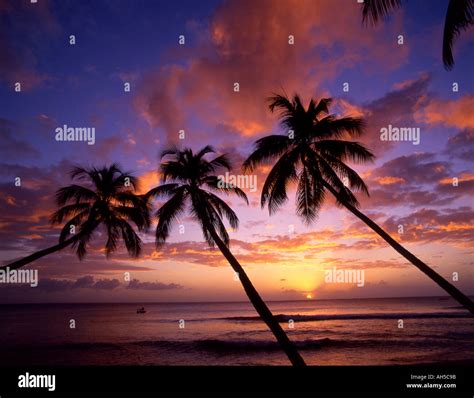 Caribbean Barbados beach sunset Stock Photo - Alamy