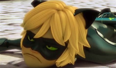 upset cat noir Memes - Imgflip