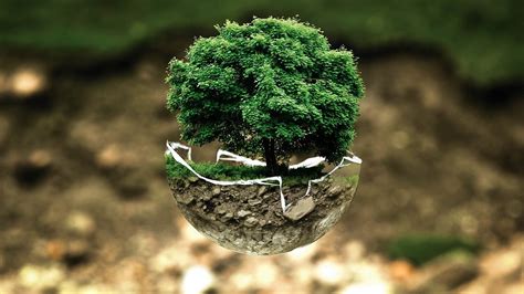 Sustentabilidad ecológica - Desarrollo Sustentable