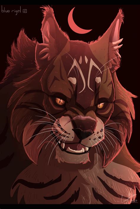 Tigerstar | Warrior cats art, Warrior cats, Warrior cat