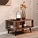 CASART Industrial Coffee Table, 2-Tier Wooden Center Tables with Storage Shelf & Side Protective ...