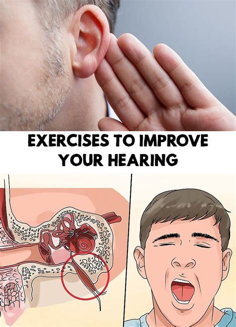 Exercises To Improve Your Hearing | Hearing health, Hearing problems ...