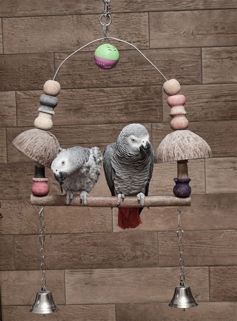 Toys for parrots | How to make sure they're safe by Parrot Essentials