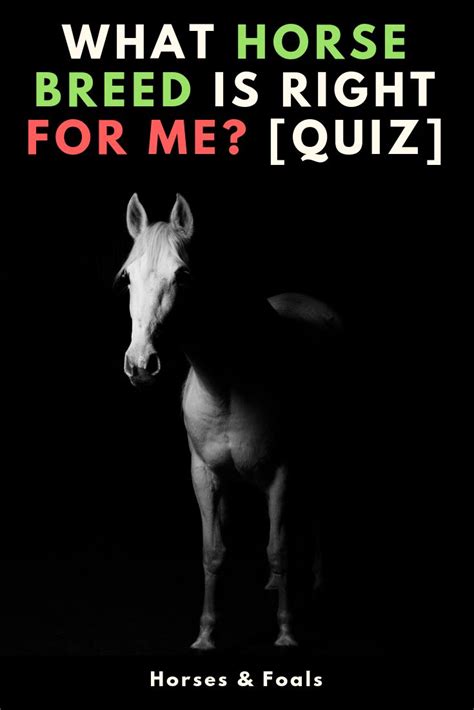 Wondering which horse breed is best for you? Answer the following 10 questions in our new quiz ...