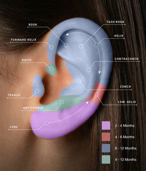 Ear Piercing Healing Stages