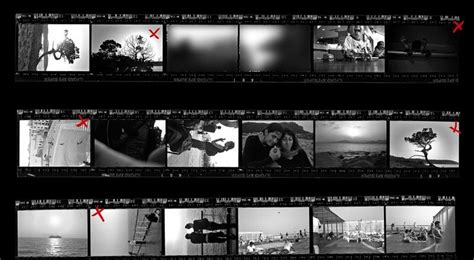 film portfolio - Google Search | Film, Search, Pandora screenshot