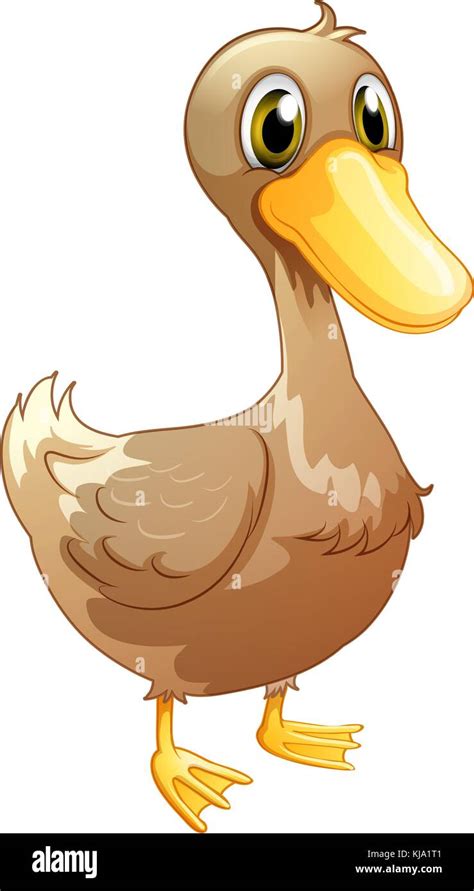 Illustration of a brown baby duck on a white background Stock Vector Image & Art - Alamy