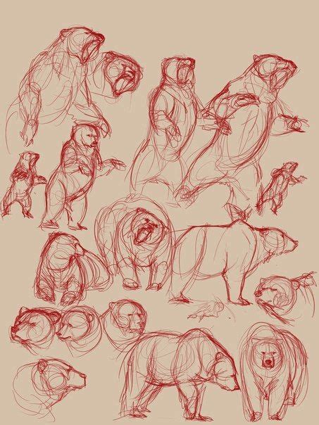 Pin by Katie on How to draw animals | Bear sketch, Animal drawings, Art ...